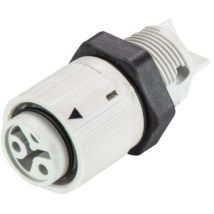 Wieland - Electric 46.031.5054.0 Rundstecker Buchse, Einbau Gesamtpolzahl: 2 Serie (rundsteckverbinder
