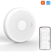 Tuya Wifi 2 in 1 Smoke and Carbon Monoxide Home Fire Detector