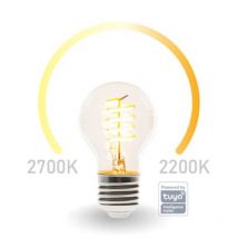 E27 led wifi, 6,5 Watt 555 Lumen, 2200-2700 Kelvin, Ø6cm, per App steuerbar