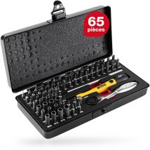 Jeu de micro-embouts, lot de 65 avec coffret de rangement (39971) i Jeu de tournevis de mécanique de précision avec porte-embout, clés à douilles,
