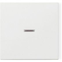 Gira - Wippe mit Kontrollfenster System 55, 029003, reinweiß, glänzend