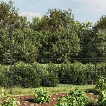 Bonnevie - Wire Mesh Fence,Garden Barrier Anthracite 2x25 m Galvanised Steel VSVS288111