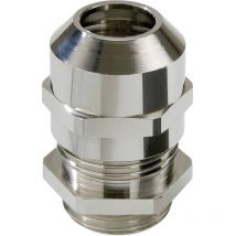 10100865 Pressacavo filettato M75 Ottone Ottone 1 pz. - Wiska