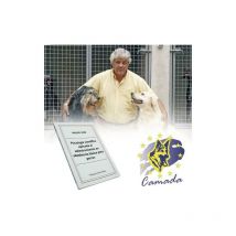 Wissenschaftliche Psychologie für das Grundgehorsamstraining für Hunde