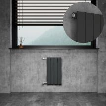 Design Heizkörper Flachheizkörper mit Seitenanschluss Paneelheizkörpermit Ventile, Nabenabstand 500 mm, anthrazit, 30x55 cm, einlagig - Witen&nock