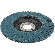 Disco abrasivo lamellare Ws, grana 60 ø 115mm 5651000 Wolfcraft