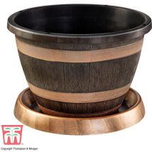 Thompson&morgan - Wooden Barrel Effect Potted Plant & Saucer x 2