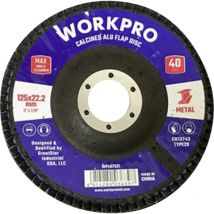 Workpro Wp407521 Fächerschleifscheibe Durchmesser 125 Mm 10 St.