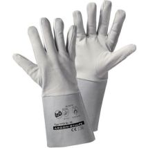 Leipold Doehle ARGON-Stulpe 1710 Nappaleder Arbeitshandschuh Größe (Handschuhe): 10, xl en 12477-B,