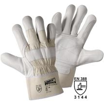 Ldworky - Leipold Doehle Robust 1576 Rindnarbenleder Arbeitshandschuh Größe (Handschuhe): 10, xl en 388:2016