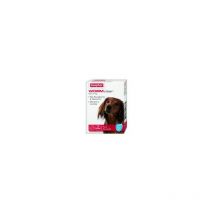 WORMclear Dog Up To 20kg - 2tab - 290502