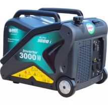 Groupe électrogène inverter essence monophasé 3000 w worms
