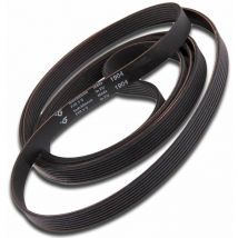 Ersatzteil - Keilriemen 1904H7 Original - - ardo, proline, markling, far, sogelux, laco Saba francia, calex, bsk, brandt, airport, doman, nogamatic,