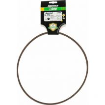 Courroie trapézoïdale X-Grip v de type 3L370 - Arnold
