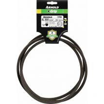Courroie trapézoïdale X-Grip v de type 4L830 - Arnold
