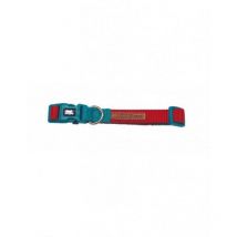 X-trm Doppelpremium-kragen-turquesa 36-48 Cm X 2 Cm