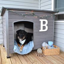X-zone Pet - Niche pour chien et chat - Résistante aux intempéries - Pour chiens de petite et moyenne taille - En bois avec sol surélevé - Résistant
