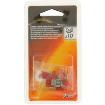 Xltech 10 Cosses Speciales h.p
