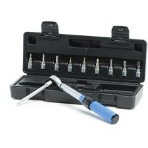 Xpotool - Llave dinamométrica 1/4' (6,35 mm) set de 11 piezas 5-25 Nm carraca 9 vasos de acero S2