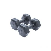 2er-Set Kurzhanteln 2 kg