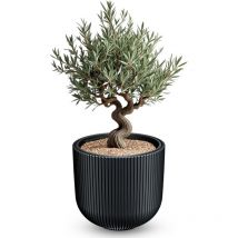 XXL Blumentopf rund 47 x 38 cm aus Kunststoff in anthrazit mit entnehmbarem Pflanzeinsatz – wetterfest UV-beständig frostsicher