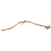 Aquaristikwelt24 - xxl Moorkienwurzel Nr.9810 Holz Deko Aquascaping