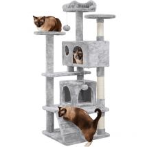 Arbre à Chat Griffoir Grattoir pour Chatons Centre Activité 138,5cm Multiniveaux Bande de Sécurité 2 Niches 3 Colonnes en Sisal 2 Balles de Jouet