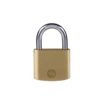 Yale Lucchetto in ottone Y110B/30/115/1 corpo 30mm, arco in acciaio, 3 chiavi