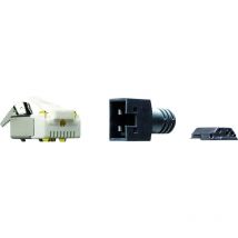 Y-CONKIT-11 RJ45 Stecker CAT5 Y-CONKIT-11 Stecker, gerade Pole: 8P4C Schwarz 1 St. - Yamaichi