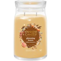 Yankee Candle Bougie Parfumée Dans Un Verre (grand) - Feuilles Brillantes - Bougie Signature « Collection Automne 2025 » - Durée