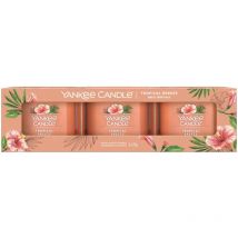 Set 3 yankee candela filled tropical breeze 1686350e