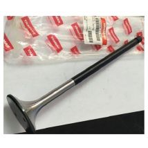 Yanmar - 141644-11101 - Valve - Suction Cup - Length : 28cm - grey