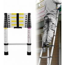Chelle télescopique en aluminium, échelle polyvalente, échelle extensible, échelle multifonctionnelle, escabeau, échelle inclinée, capacité de charge