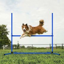 Yardin - Ensemble d'Agilité pour Chien, 4 x Haies Réglables en Hauteur, Poteaux de Slalom, Sac de Transport Inclus, Équipement d'Entraînement pour