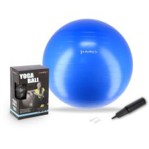 Ballon De Gym Bleu Yb01 Neuf De 55 Cm Hms