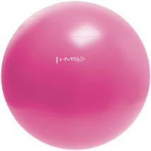 Ballon De Gym Rose Yb01 Neuf De 55 Cm Hms