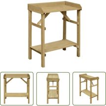 Youthup - The Living Store Pflanztisch Imprägniertes Kiefernholz 75 x 40 x 90 cm - Pflanztisch - Kiefernholz - Gartentisch - Pflanzenregal