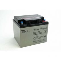 Yucel - Batterie plomb agm Y38-12IFR 12V 38Ah M5-F