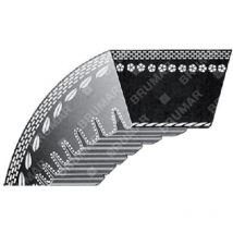 ZAHNKeilRIEMEN für Rasenmäher SNAPPER - SIMPLICITY COMPATIBLE - 012655
