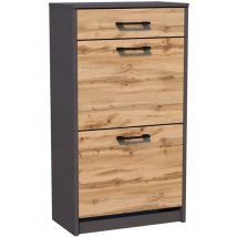 Zapatero calzado 2D1S grafit-wotan con cajonera ROB