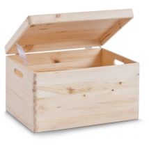 Zeller - Allzweckkiste mit Deckel, 30 LIter