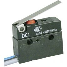 ZF - DC1C-C3LC Microrupteur DC1C-C3LC 250 v/ac 6 a 1 x On/(On) IP67 à rappel 1 pc(s)