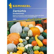 Zierkürbis Sonderformen Cucurbita pepo, Inhalt ca. 10 Pflanzen Gemüsesamen - Kiepenkerl