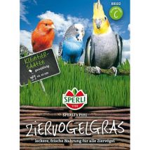 Sperli Ziervogelgras SPERLI ́s Pitti - Blumensamen
