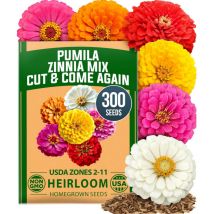 Zinnia Elegans Samen 600 Stück – Bunte Dahlienblüten, Lange Blütezeit, Ideal Für Gartenbeete, Rabatten Und Topfpflanzen