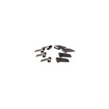 Zipp Spare - Spring And Pawl Set For Zipp 177 Rear Hub Qty 4: - Z8036000