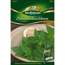 Quedlinburger Zitronenbasilikum Lemona - Premium Kräutersamen