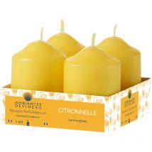 Zitronengraskerzen D38 H56 Packung Zu 4 In Schale - Devineau