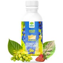 Zolfo Flow Concime Liquido Concentrato Correttivo per Orticole Fragola Vite Olivo Formula Formulazione Flow x 1 kg
