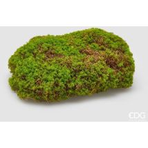 EDG – Zolla Muschio in Plastica L 30 x L 21 cm – Decorativa per Interni ed Esterni